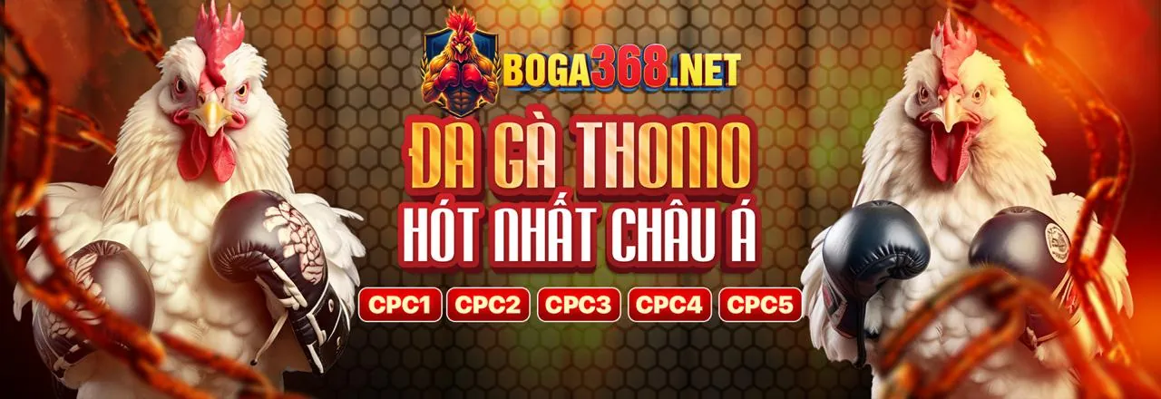 Các tính năng nổi bật của nền tảng KU68